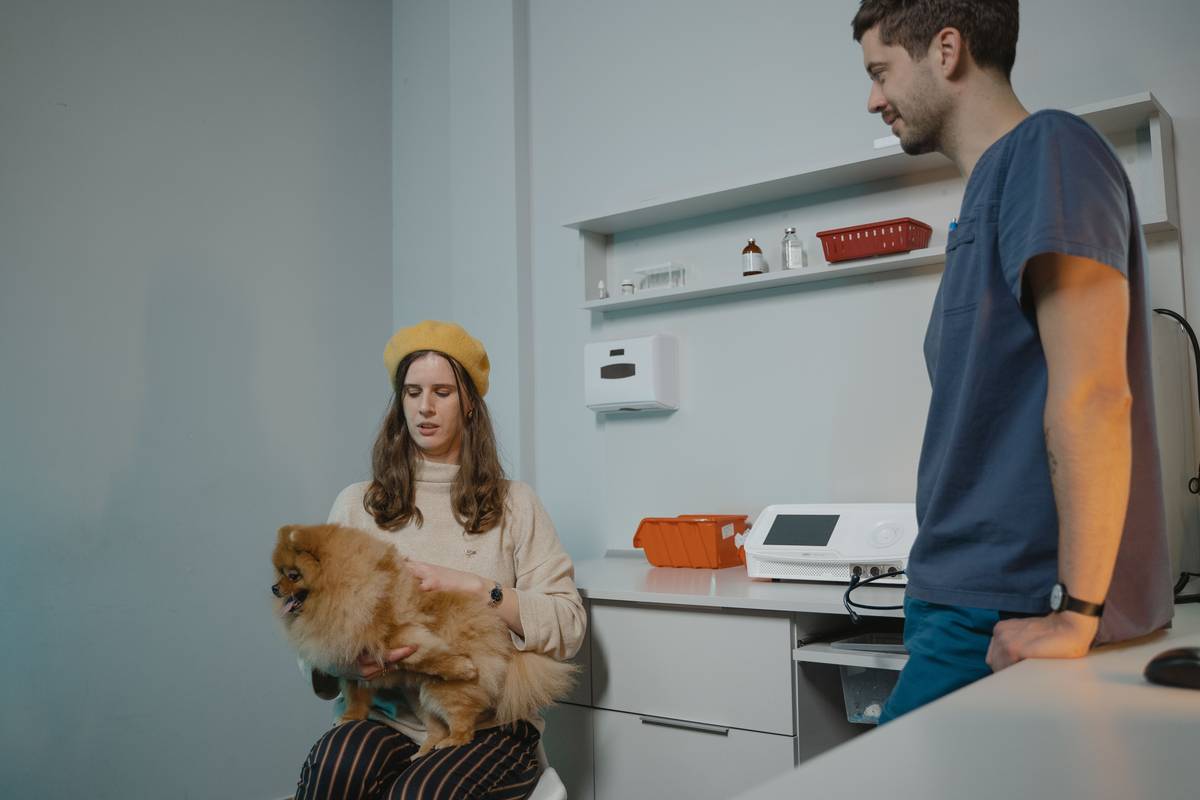 Canine Hepatic Care: 7 Proven Tips to Avoid Costly Mistakes