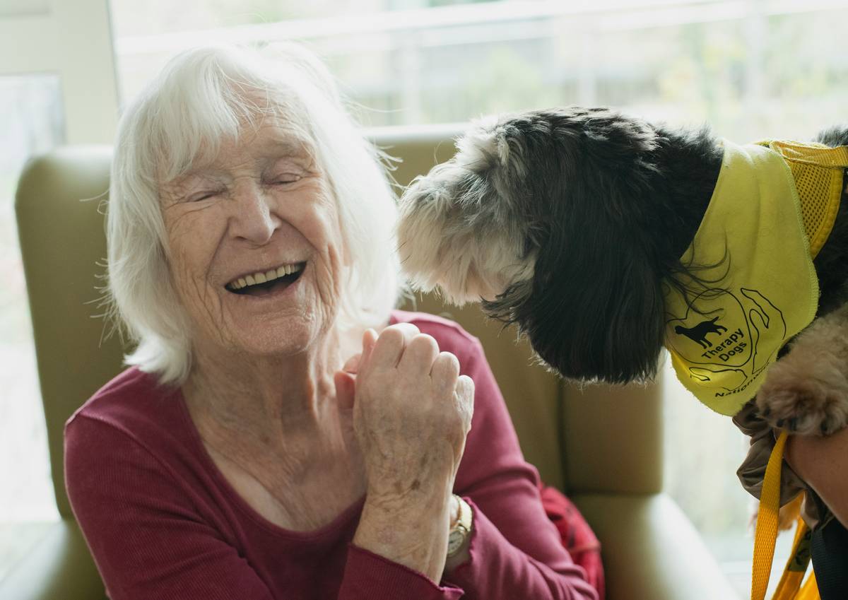 canine hepatic care: veterinarian examining dog's liver enzymes on blood test results