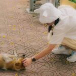 Functions of Copper in the Body: 7 Proven Ways to Avoid Dangerous Deficiencies in Pets