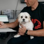 Veterinary Care: 7 Proven Tips to Avoid Dangerous Copper Supplement Mistakes